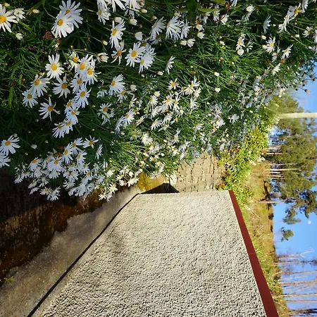 Tatil Evi Palheiro T1 Caminho Do Verde *